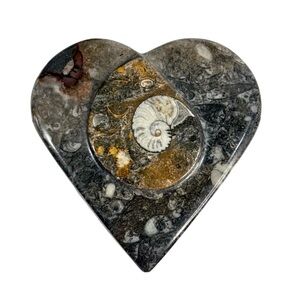NEW! Heart Shaped Jewelry & Trinket Box Ammonite Fossil, Black